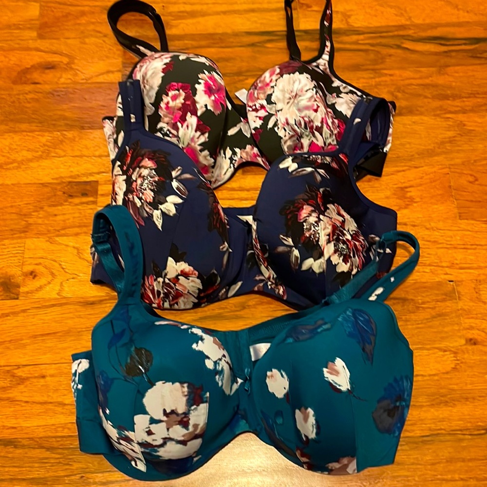 Cacique Bra Set